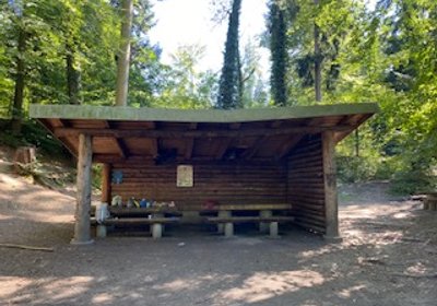 Witenwald - Forstlicher + naturkundlicher Rundgang